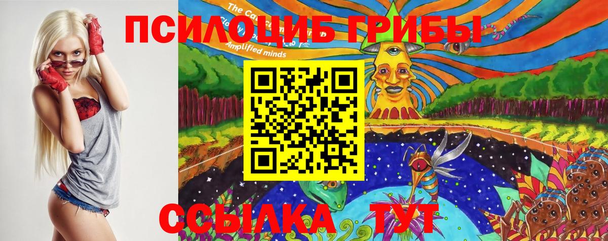 Галлюциногенные грибы Psilocybe  где купить наркотик  Тамбов  Вход с VPN  Галлюциногенные грибы ЛСД 