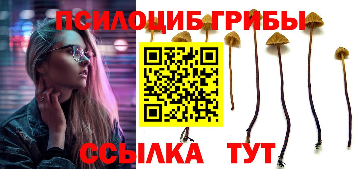 Псилоцибиновые грибы ЛСД Тамбов